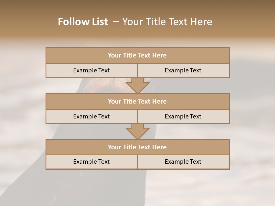 Detail Carnivore Zoo PowerPoint Template