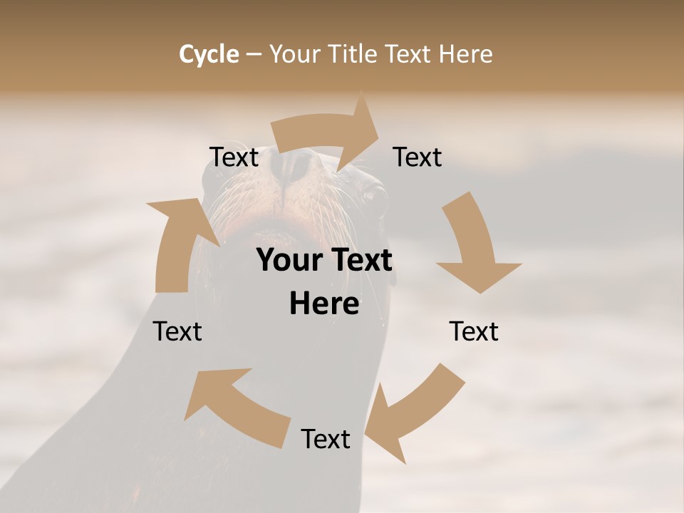 Detail Carnivore Zoo PowerPoint Template
