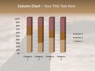 Detail Carnivore Zoo PowerPoint Template