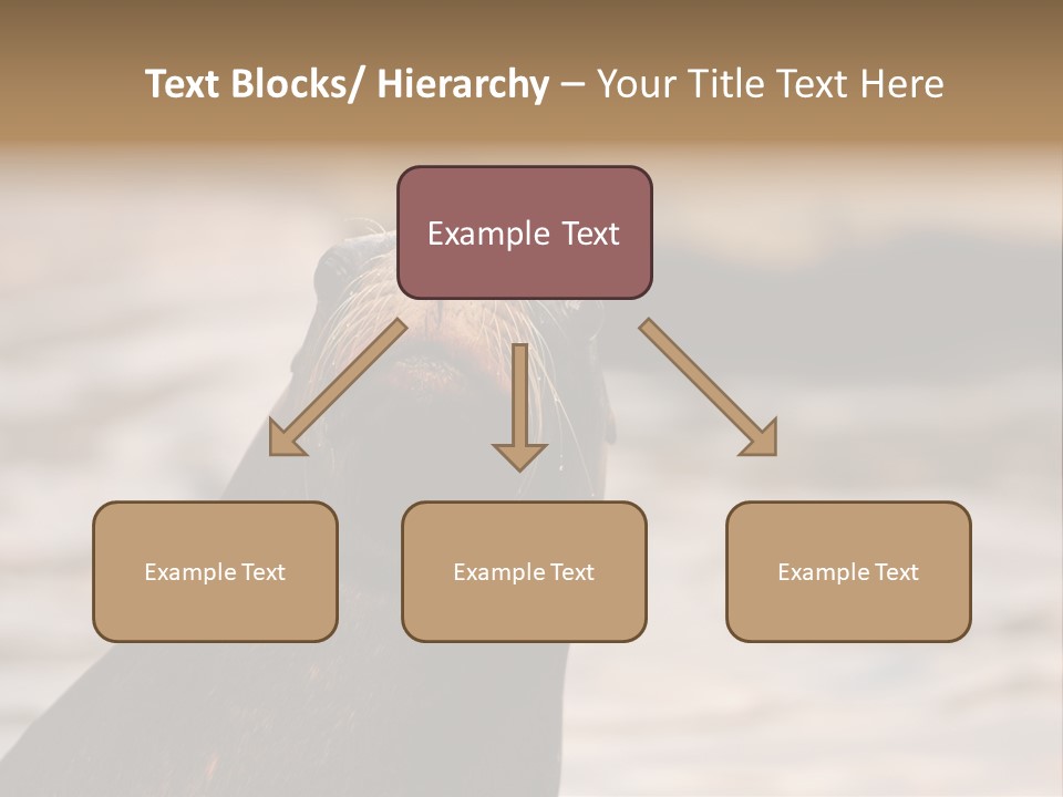 Detail Carnivore Zoo PowerPoint Template
