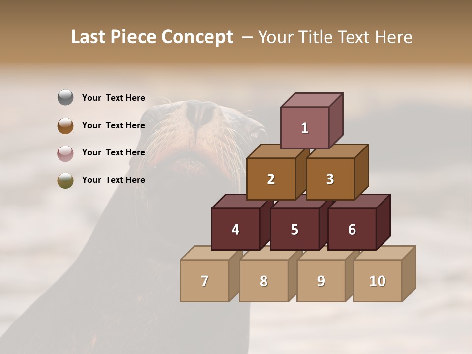 Detail Carnivore Zoo PowerPoint Template