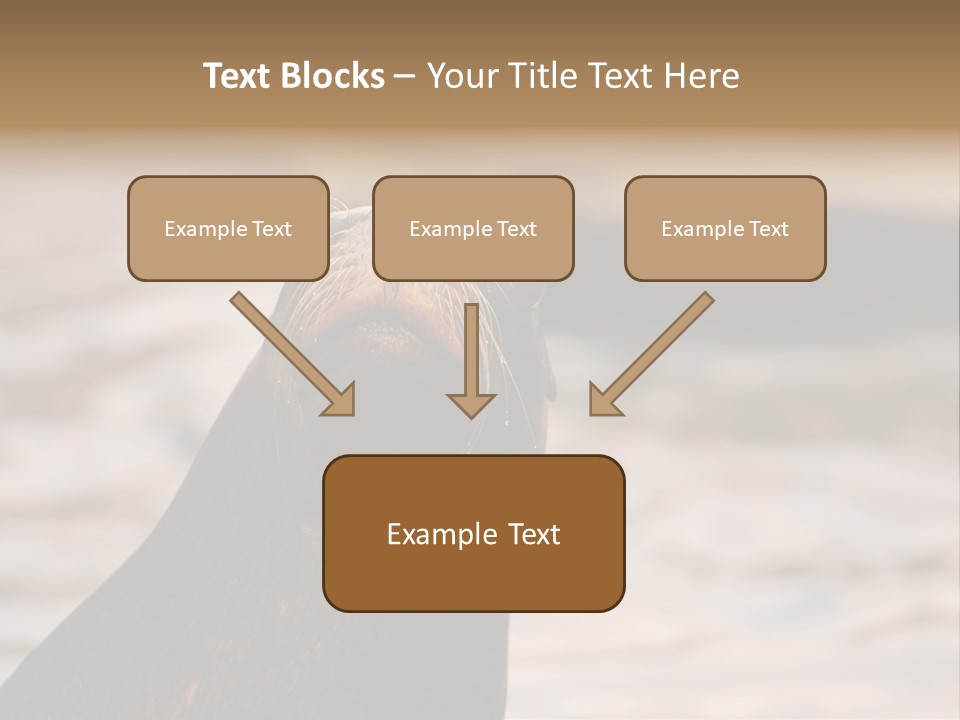 Detail Carnivore Zoo PowerPoint Template