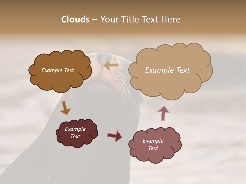 Detail Carnivore Zoo PowerPoint Template