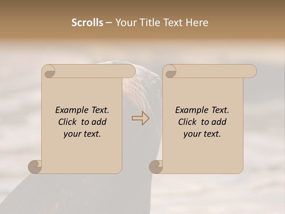 Detail Carnivore Zoo PowerPoint Template