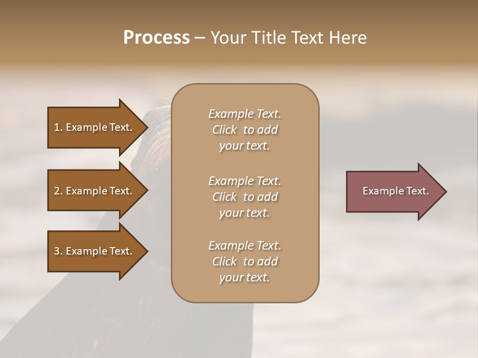 Detail Carnivore Zoo PowerPoint Template