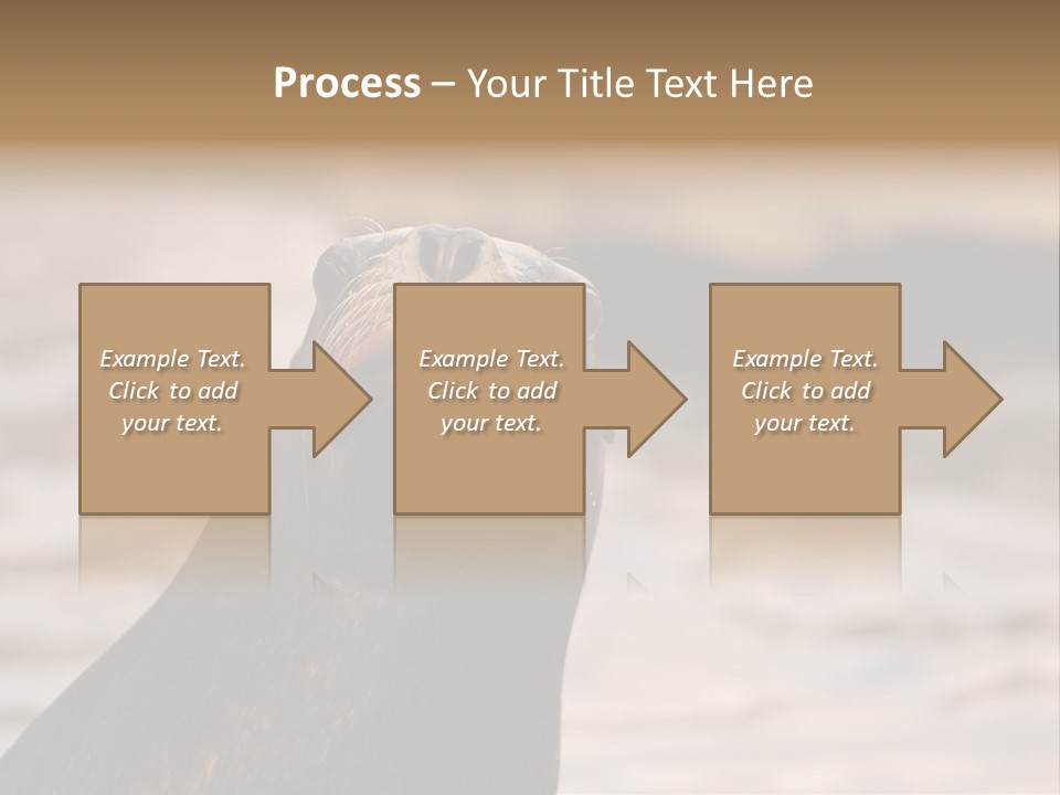 Detail Carnivore Zoo PowerPoint Template
