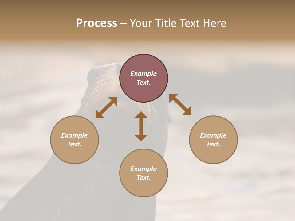 Detail Carnivore Zoo PowerPoint Template