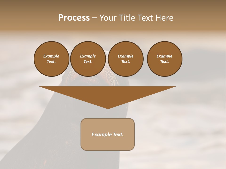 Detail Carnivore Zoo PowerPoint Template