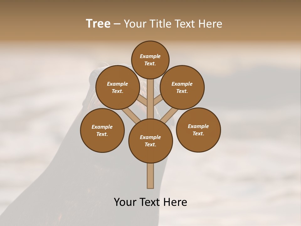 Detail Carnivore Zoo PowerPoint Template