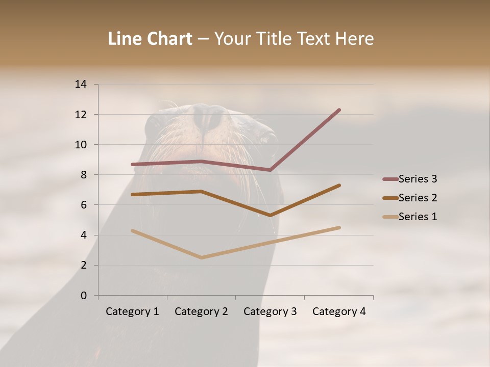 Detail Carnivore Zoo PowerPoint Template