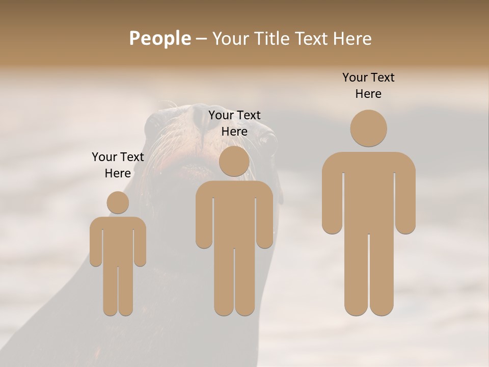 Detail Carnivore Zoo PowerPoint Template