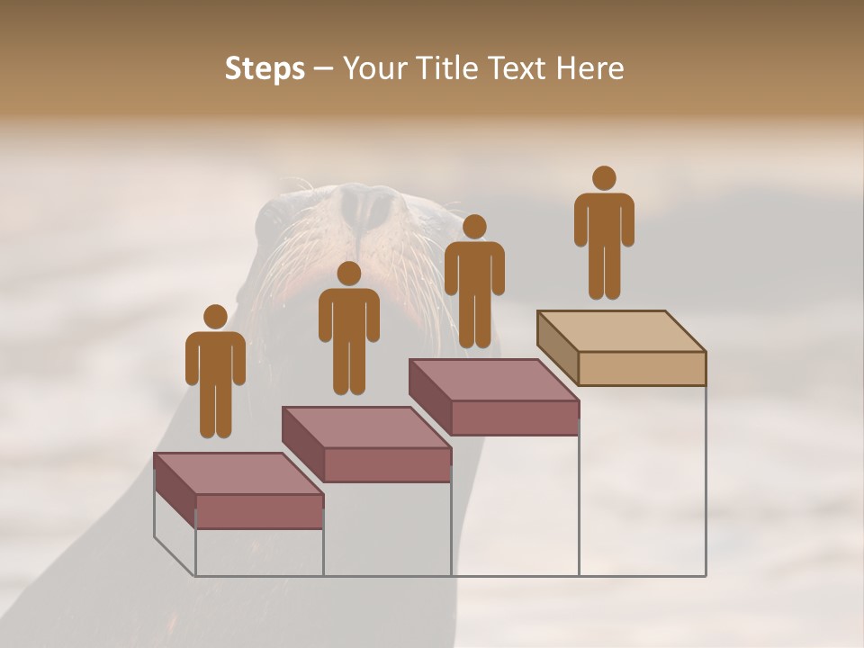 Detail Carnivore Zoo PowerPoint Template