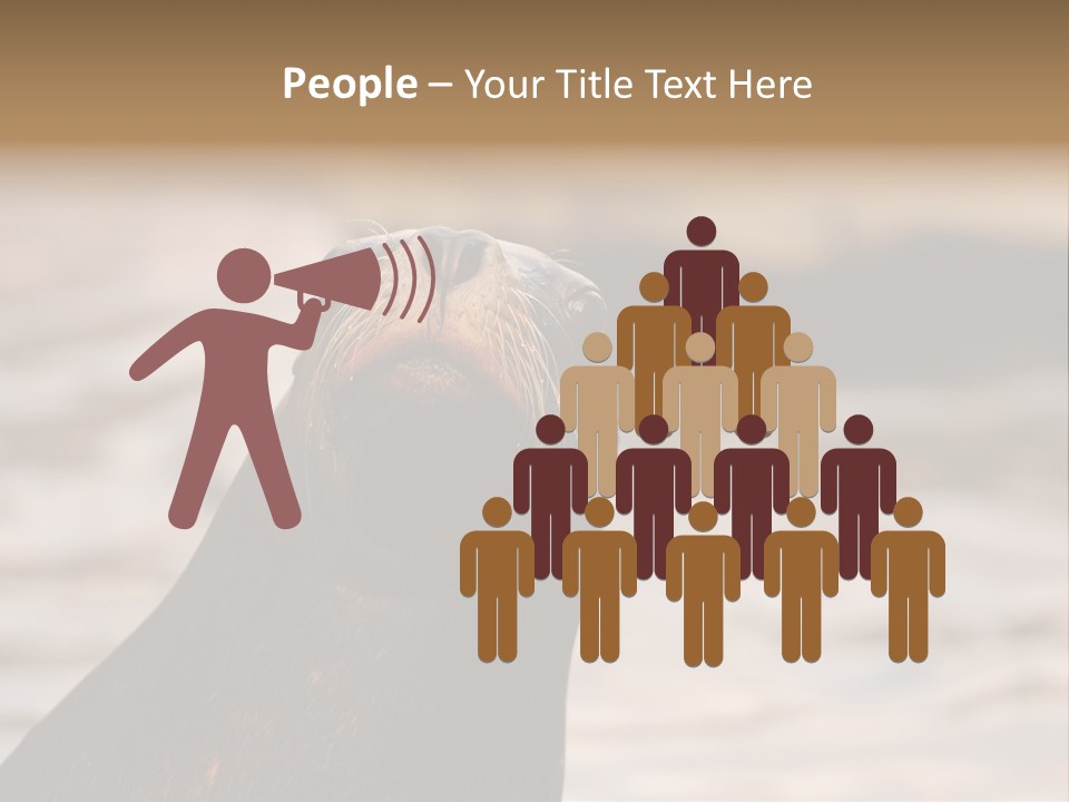 Detail Carnivore Zoo PowerPoint Template