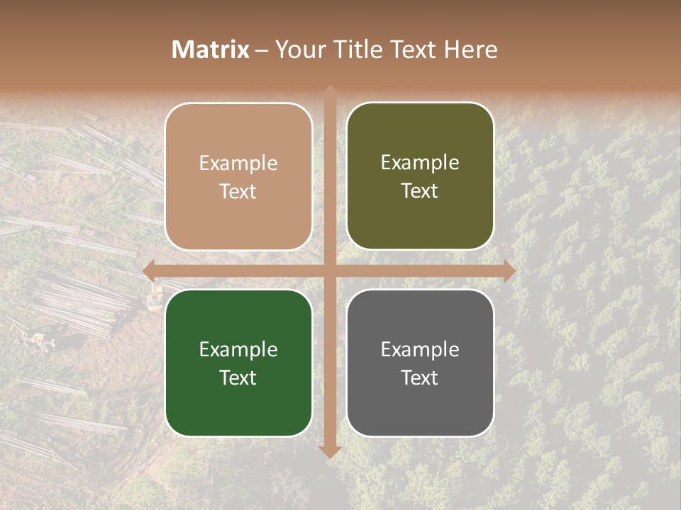 Pine Trees Rural Harvesting PowerPoint Template