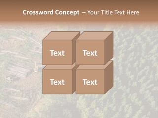Pine Trees Rural Harvesting PowerPoint Template