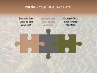 Pine Trees Rural Harvesting PowerPoint Template