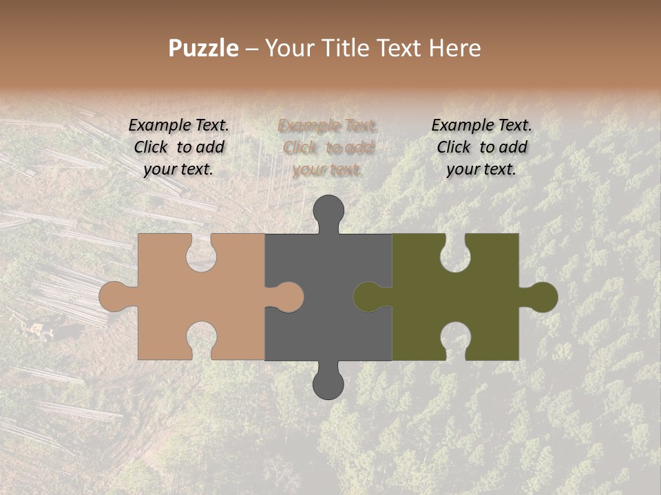 Pine Trees Rural Harvesting PowerPoint Template