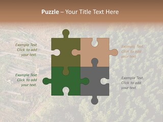 Pine Trees Rural Harvesting PowerPoint Template