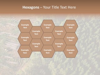 Pine Trees Rural Harvesting PowerPoint Template