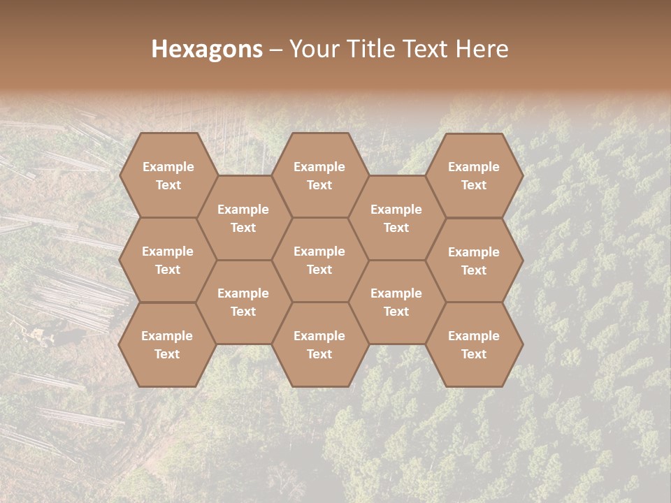 Pine Trees Rural Harvesting PowerPoint Template
