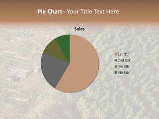 Pine Trees Rural Harvesting PowerPoint Template