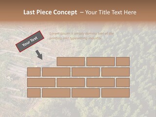 Pine Trees Rural Harvesting PowerPoint Template