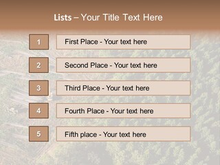 Pine Trees Rural Harvesting PowerPoint Template