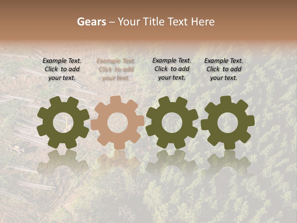 Pine Trees Rural Harvesting PowerPoint Template