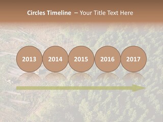 Pine Trees Rural Harvesting PowerPoint Template