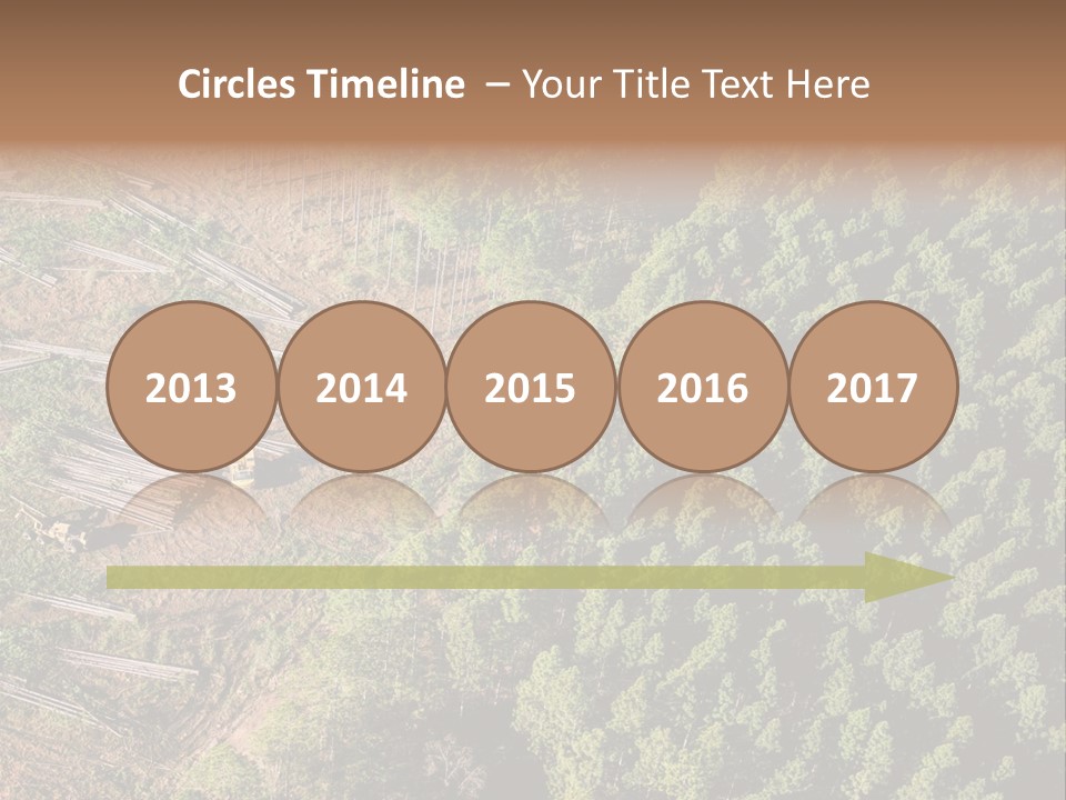 Pine Trees Rural Harvesting PowerPoint Template