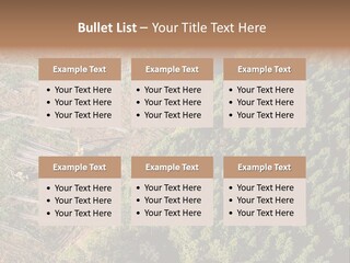 Pine Trees Rural Harvesting PowerPoint Template