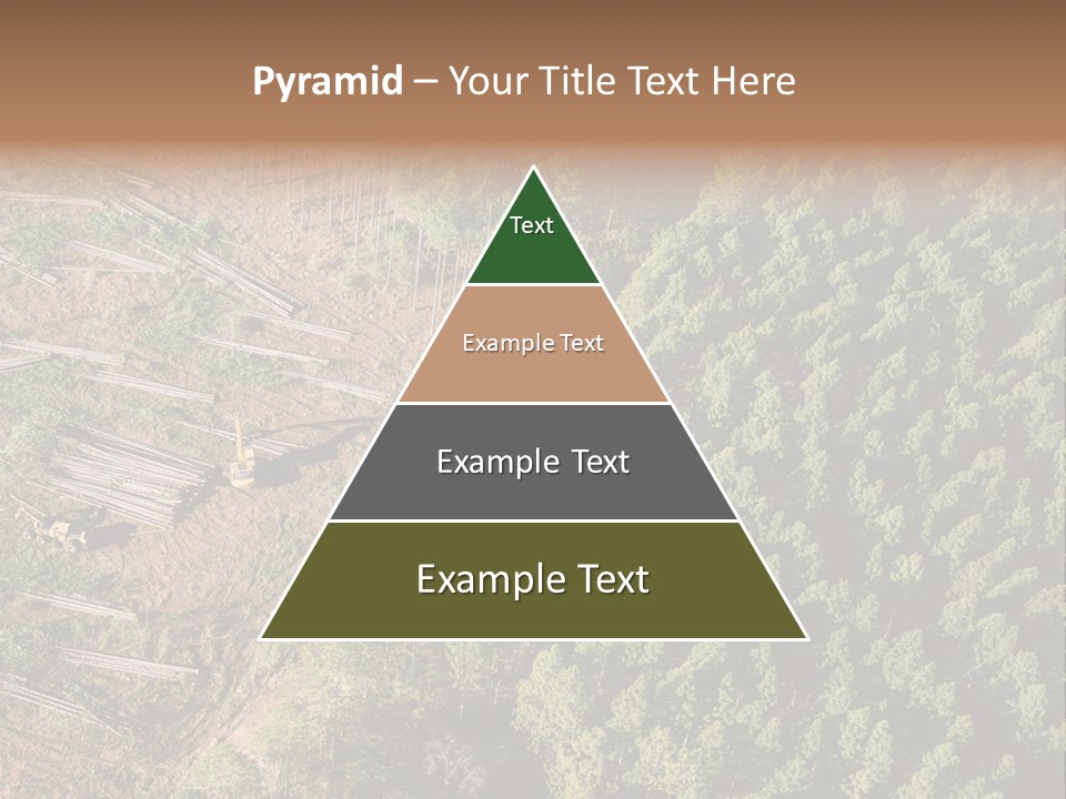 Pine Trees Rural Harvesting PowerPoint Template