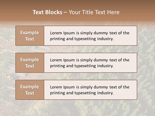 Pine Trees Rural Harvesting PowerPoint Template