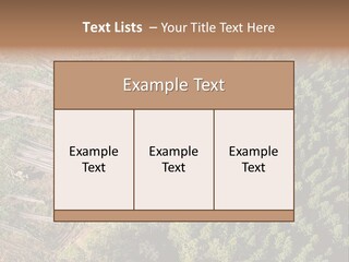 Pine Trees Rural Harvesting PowerPoint Template