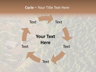 Pine Trees Rural Harvesting PowerPoint Template