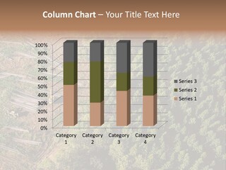 Pine Trees Rural Harvesting PowerPoint Template