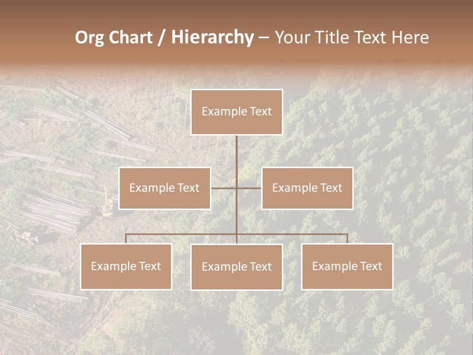 Pine Trees Rural Harvesting PowerPoint Template