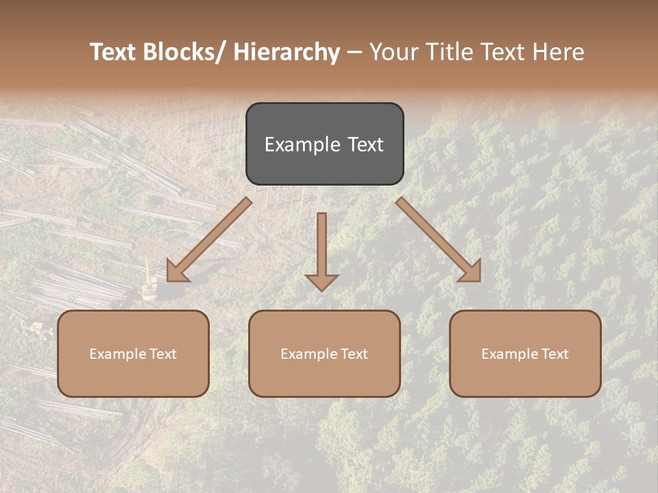 Pine Trees Rural Harvesting PowerPoint Template