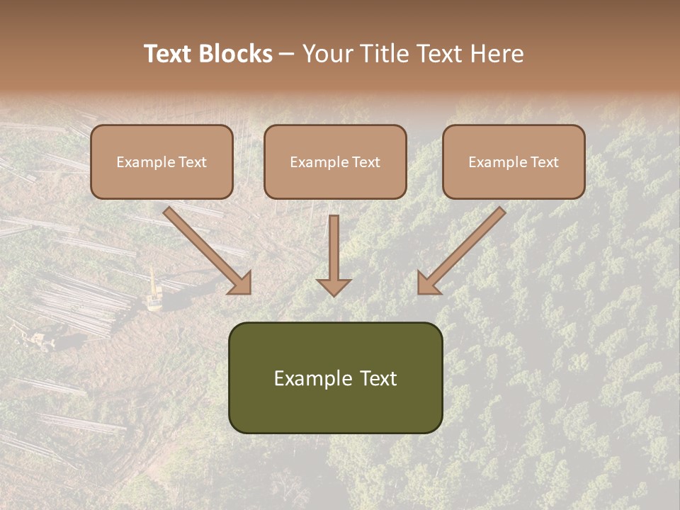 Pine Trees Rural Harvesting PowerPoint Template