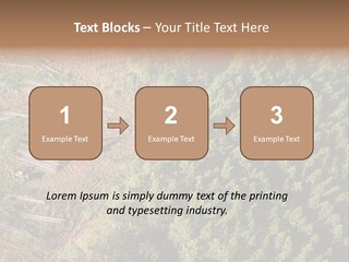 Pine Trees Rural Harvesting PowerPoint Template