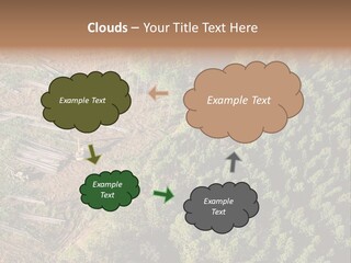 Pine Trees Rural Harvesting PowerPoint Template