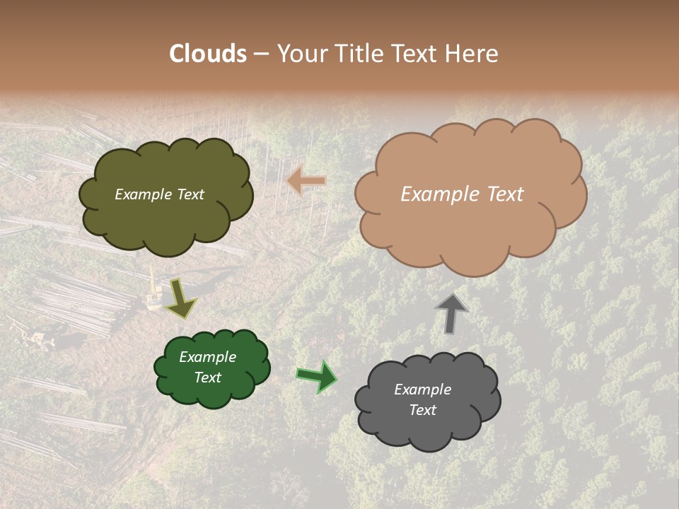 Pine Trees Rural Harvesting PowerPoint Template
