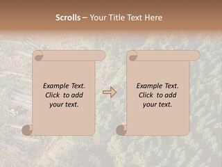 Pine Trees Rural Harvesting PowerPoint Template