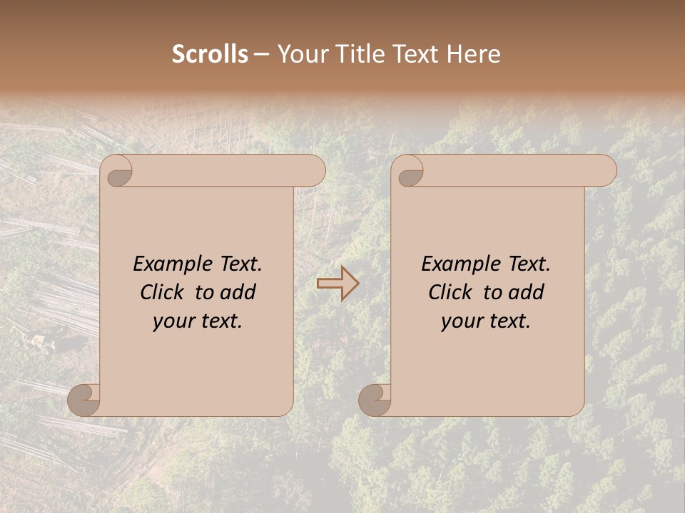 Pine Trees Rural Harvesting PowerPoint Template