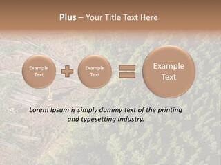 Pine Trees Rural Harvesting PowerPoint Template