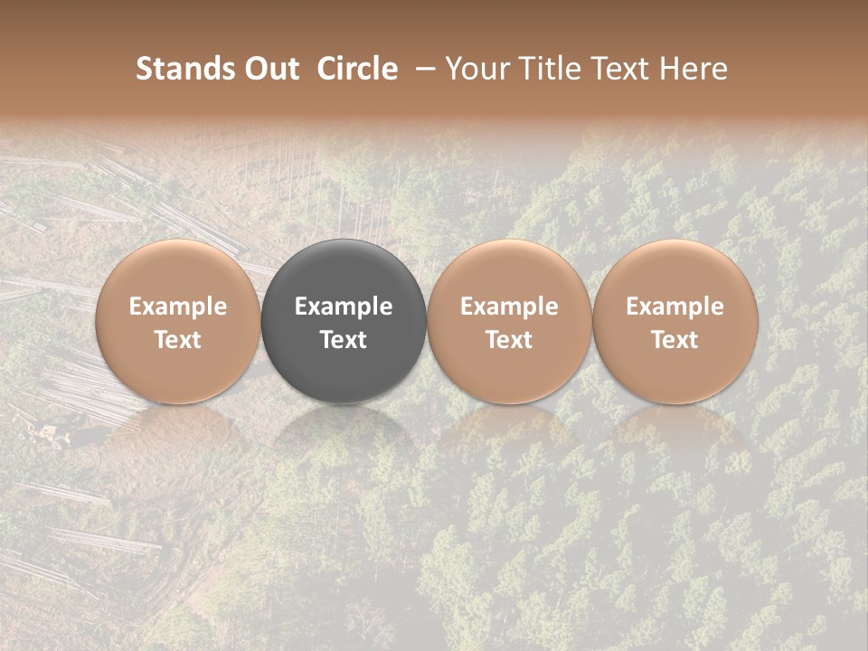 Pine Trees Rural Harvesting PowerPoint Template