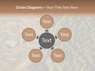 Pine Trees Rural Harvesting PowerPoint Template