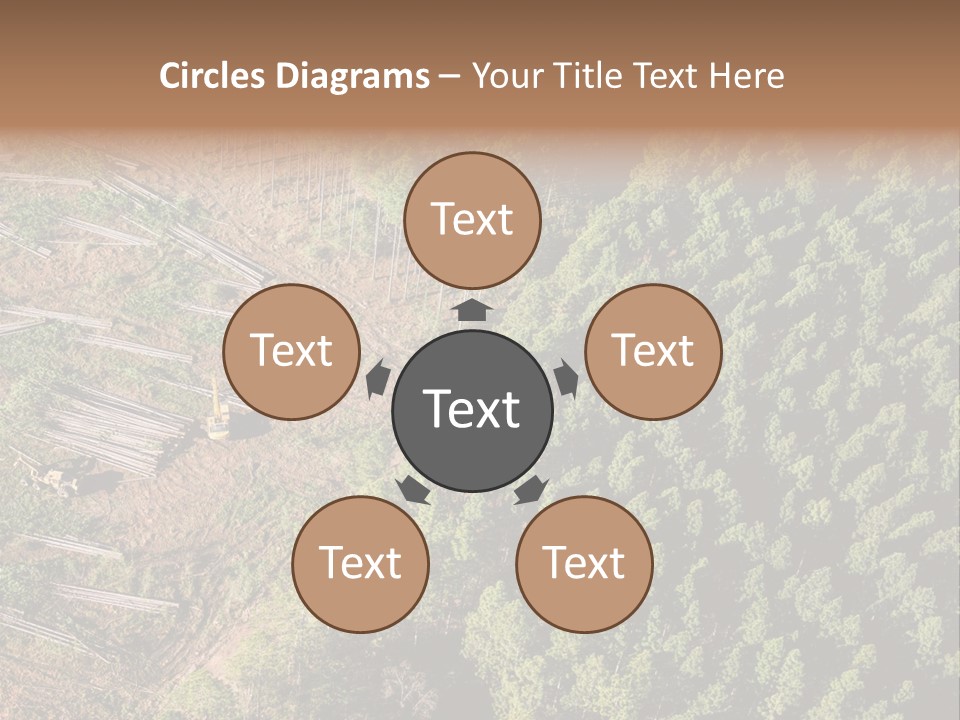 Pine Trees Rural Harvesting PowerPoint Template