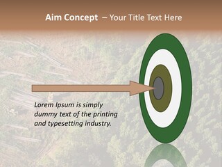 Pine Trees Rural Harvesting PowerPoint Template