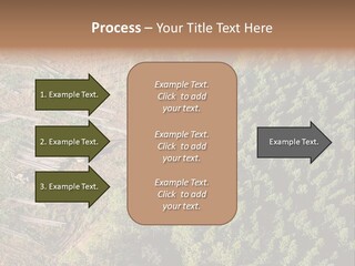 Pine Trees Rural Harvesting PowerPoint Template